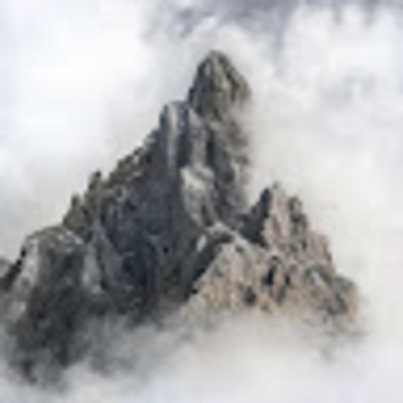 Meet your Posher, Claudio - Picture 1 of 1